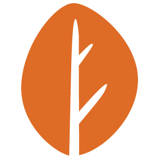 powerplaycity.com favicon